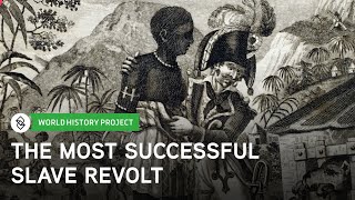 The Haitian Revolution and Its Causes  World History Project [upl. by Euqinot628]