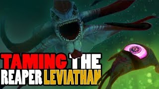 Subnautica  TAMING THE REAPER LEVIATHAN HOW TO TAME IT amp ALL OTHER CREATURES  Gameplay [upl. by Alphonsa564]