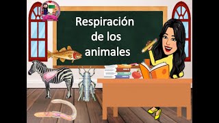 Respiración de animales [upl. by Roderigo]