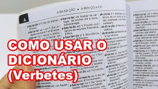 LÍNGUA PORTUGUESA  Como usar o dicionário [upl. by Lindley]