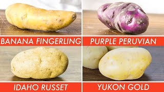 Trying Every Type Of Potato  The Big Guide  Epicurious [upl. by Zurkow]