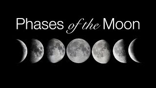 Phases and Motions of the Moon [upl. by Matronna4]