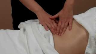 Qi Nei Zang Chinese Abdominal Massage [upl. by Delija]