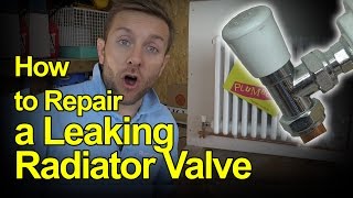 HOW TO REPAIR A LEAKING RADIATOR VALVE  Plumbing Tips [upl. by Cherise]