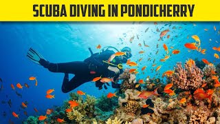 Scuba Diving Experience in Pondicherry  BEST Underwater experience in India😍 [upl. by Sheply]