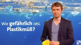 Plastik im Meer  Wie gefährlich ist Plastikmüll [upl. by Carpio]