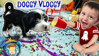 ITS OREO FUNnel V Fam Doggy Vloggy Whos Harder to Handle Puppy or Baby After Christmas Vlo [upl. by Islehc334]