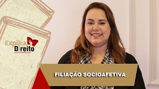 Explica Direito Filiação Socioafetiva  2019 [upl. by Anej18]