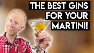 Best Gin For your Martini [upl. by Ayotac]