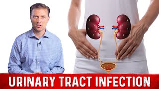 Best Home Remedy for Urinary Tract Infection UTI – Dr Berg [upl. by Atsuj723]