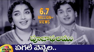 ANR Hits  Pooja Phalam Movie Songs  Pagale Vennela Video Song  Savitri  Jamuna  Mango Music [upl. by Hurlow741]