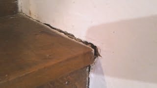 Quick Fixing Guide To cracks On A Staircase [upl. by Nagear]