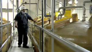 How Its Made Mayonnaise [upl. by Ogait]