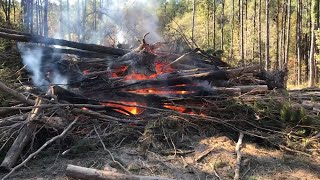 How to Light and Burn a Huge GREEN Brush Pile [upl. by Ahsote192]