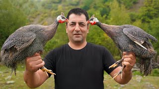 GUINEA FOWL COOKING IN OVEN  TANDOORI BAKED RECIPE  ROASTED TEETARI BY WILDERNESS COOKING [upl. by Nylyahs]