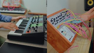 Tromos  Moog Grandmother amp Modular [upl. by Tung829]