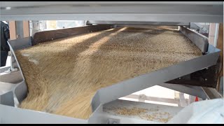 4 Deck Seed Cleaning Machine  AKY Technology [upl. by Cornela]