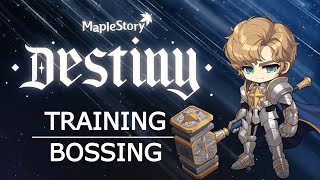 MapleStory Paladin Bossing amp Training Guide [upl. by Warford]