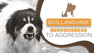 Understanding Dog Language  Nervous to Aggressive Behaviour [upl. by Adnohsar783]