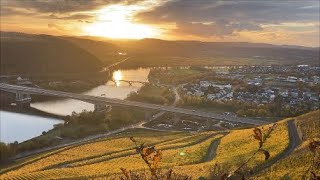 Schweicher Weinberge an der Mosel [upl. by Federico729]