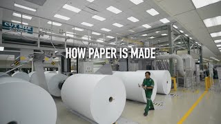 How Paper Is Made [upl. by Otilegna464]