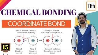 Chemical Bonding । Class 11 L15 । Coordinate Bond । Back Bonding [upl. by Okiam]