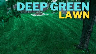 🟢 Make your ugly lawn DARK GREEN in 3 days [upl. by Agrippina]