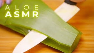 ASMR Best Aloe Sounds for Sleep Tingles and Relaxation No Talking [upl. by Eimmot]