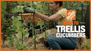 How to Trellis Cucumbers  Edible Gardening  The Home Depot [upl. by Kata]