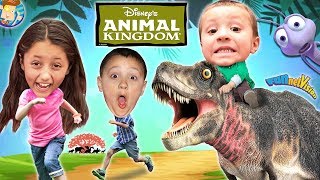 Disneys Animal Kingdom Adventure FUNnel V Park Hopper Family Vacation Fun 2015 [upl. by Araht870]