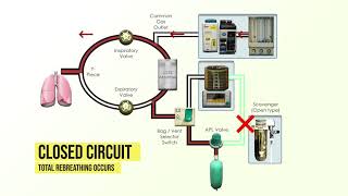 Anesthesia Machine Fundamentals [upl. by Grimbly]