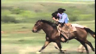 Waggoner Ranch 1994 AQHA Best Remuda Award winner [upl. by Notsla]