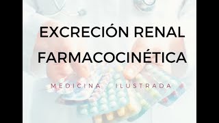 Excreción Renal  Farmacocinética [upl. by Sexton188]