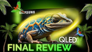 Samsung Q60D NO BS Final Review [upl. by Joseito26]