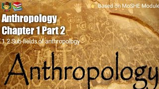 Anthropology Chapter 1  Part 2   Subfields of anthropology [upl. by Kalmick977]