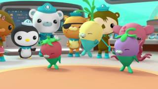 Octonauts Creature Report Compilation  Series 1 [upl. by Costanza]