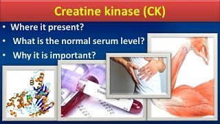 Creatine KinaseCKClear overview [upl. by Leamsi352]