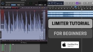 How To Use Limiter  Beginners Tutorial [upl. by Benildis421]