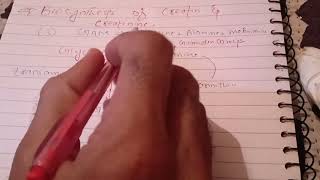 Synthesis of Creatine and Creatinine [upl. by Viquelia]