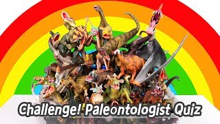 EN Challenge Paleontologist Quiz dinosaurs names for children collecta figuresㅣCoCosToy [upl. by Iatnohs]