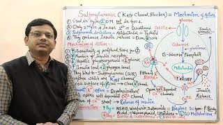 Diabetes Mellitus Part10 Mechanism of Action of Sulfonylurease  Antidiabetic Drugs  Diabetes [upl. by Atila891]