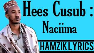 XARIIR AXMED HEES CUSUB NACIIMA OFFICIAL VIDEO HD LYRICS 2020 [upl. by Nicoline]