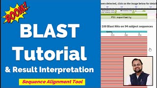 What is BLAST  Tutorial amp Interpretation [upl. by Ferrel47]