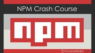 NPM Crash Course [upl. by Lesya]