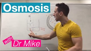 Osmosis  Membrane Transport [upl. by Leciram]