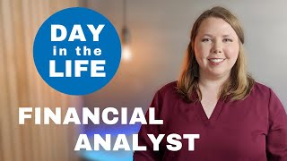 What Does a Financial Analyst Do [upl. by Yltnerb833]