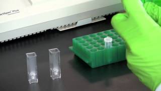 DNA Quantitation Using a Spectrophotometer [upl. by Neeloj235]