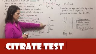 Citrate Test [upl. by Doug]