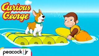 Day at the Dog Beach  CURIOUS GEORGE [upl. by Odessa149]