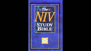 The Book of Nehemiah NIV Audio Bible Non Dramatized [upl. by Rahs]